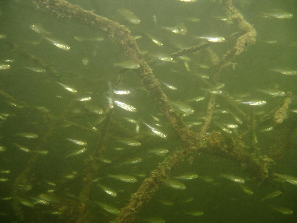 2008-06-29 11-13-34 H.JPG